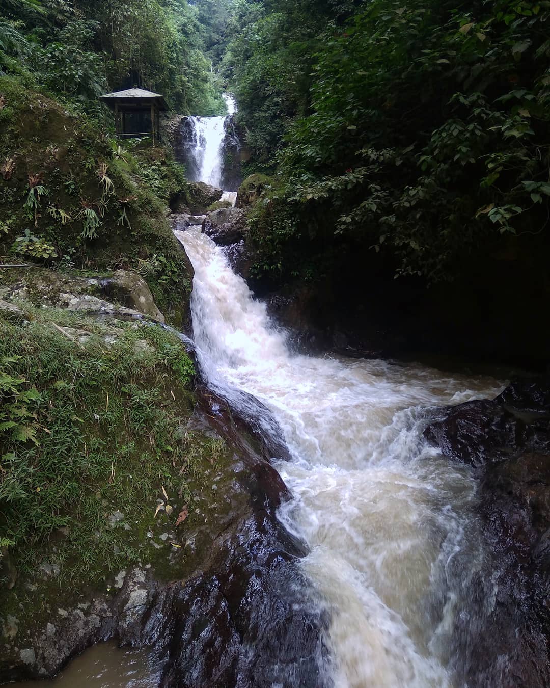 Bertingkat waterfalls